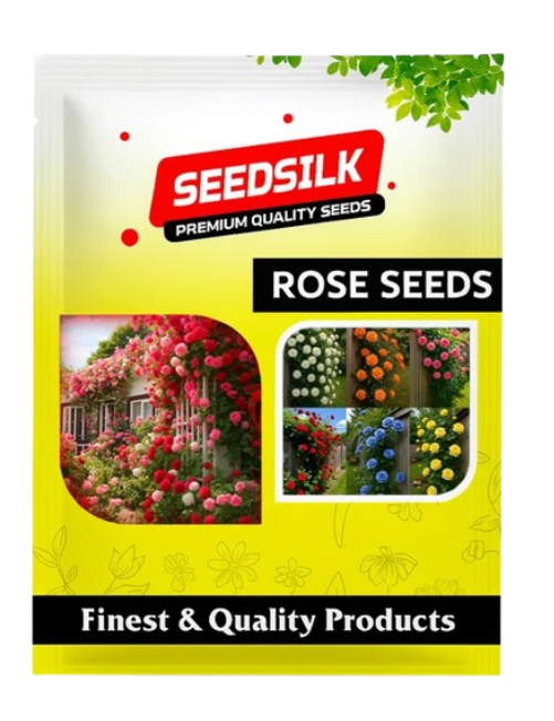 Rose Seeds